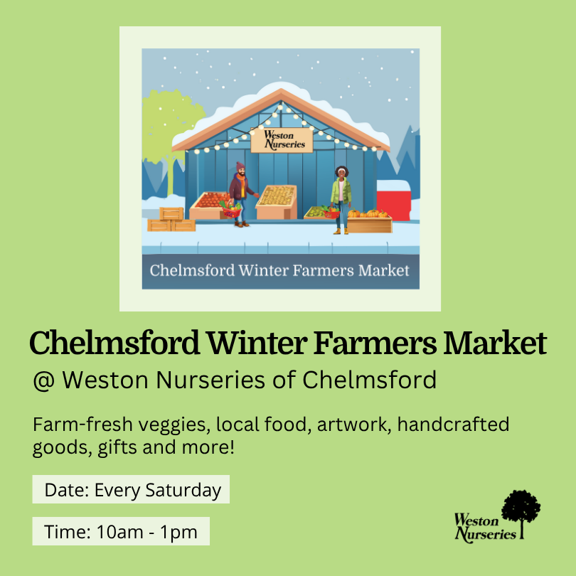 Chelmsford Winter Market – Website Chelmsford Winter Market