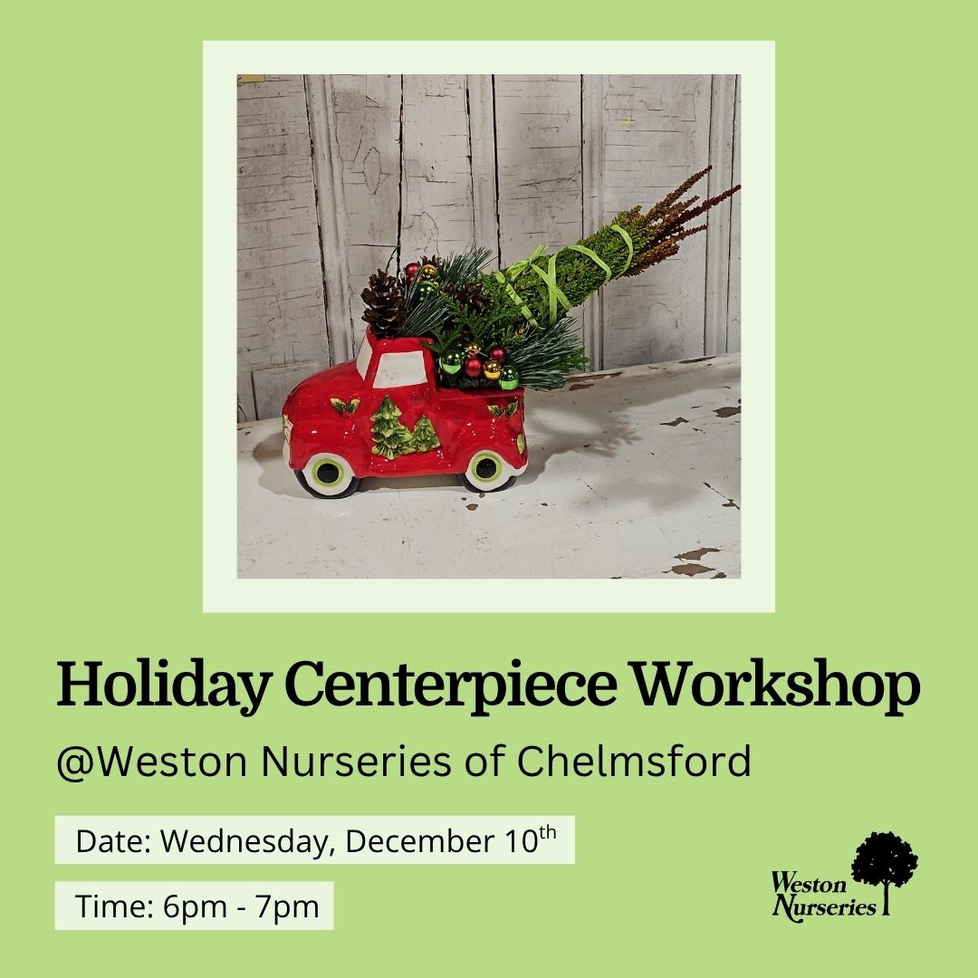 Centerpiece-Chelmsford-12.10.25-Website